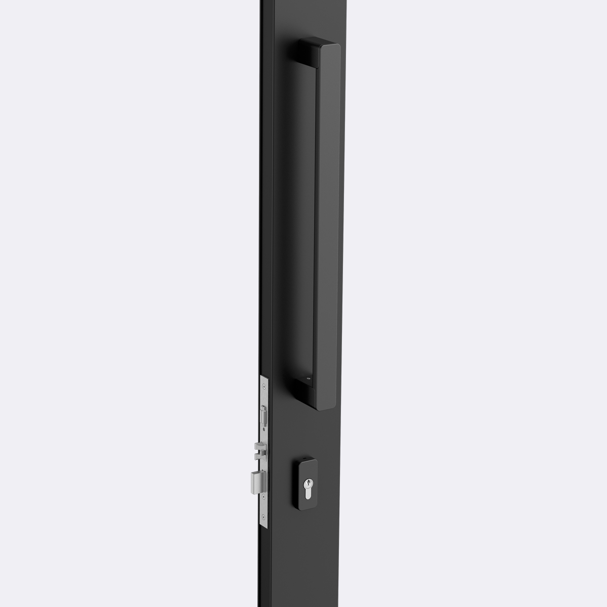 Entry Door handle